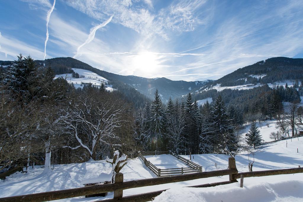 Hotel Gasthof Erbhof Anderlhof Leogang Dış mekan fotoğraf